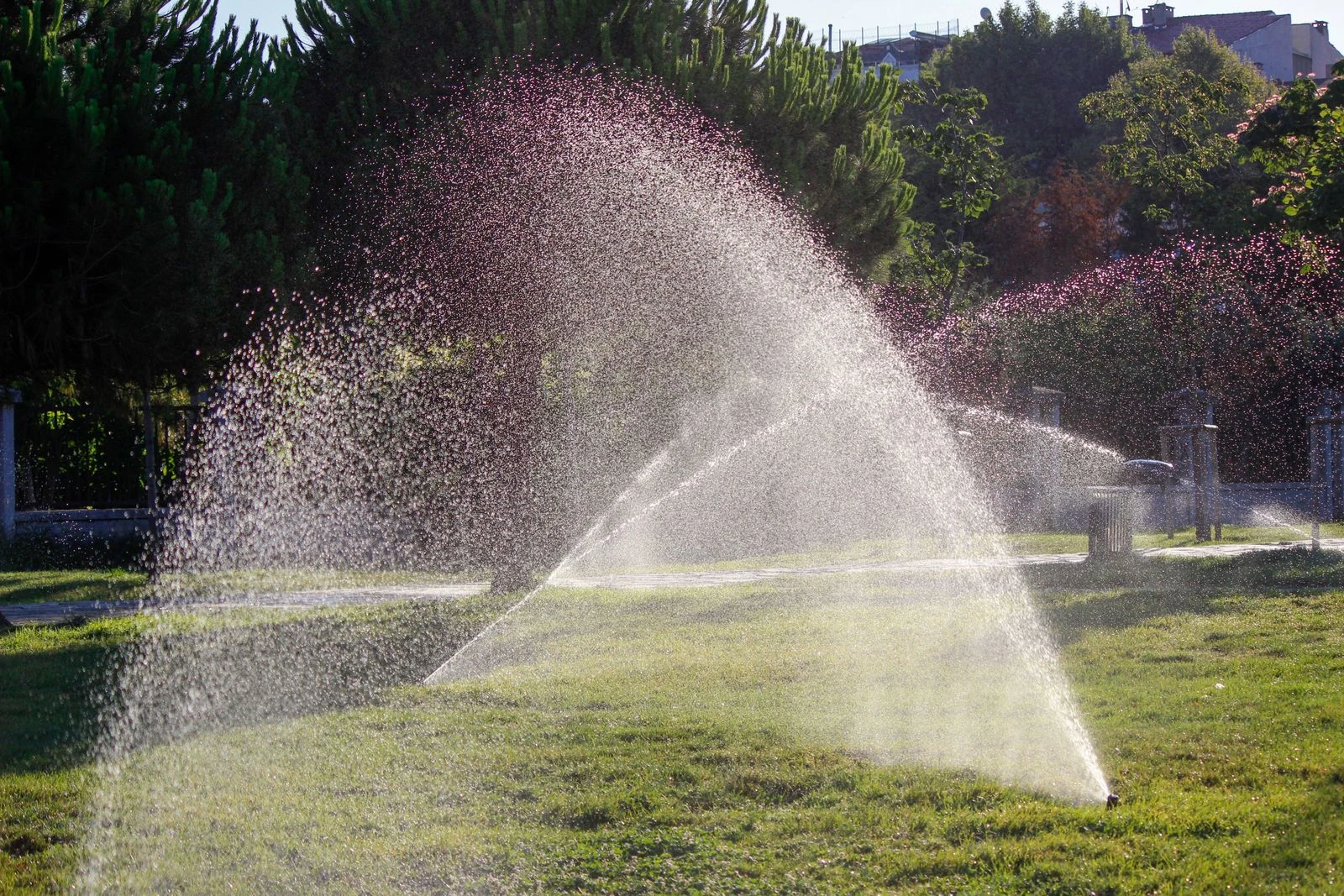 Irrigation & Sprinkler System Installation — illustrative reference